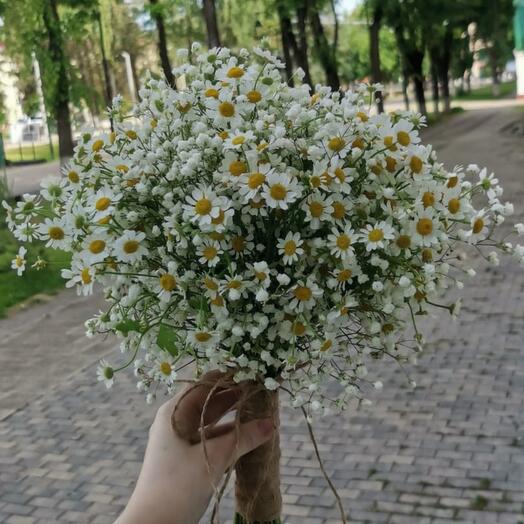 Букет невесты из гипсофилы и матрикарии