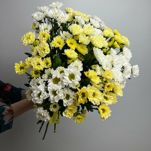 Crisantemo Santini Mix amarillo-blanco 11 piezas