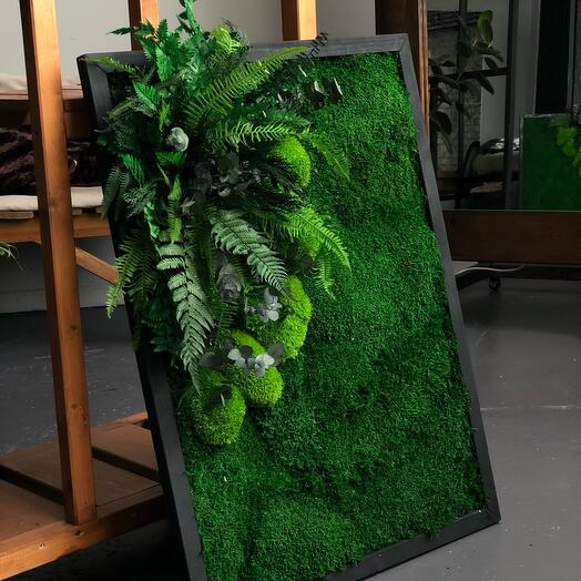 Картина из стабилизированного мха 80*60см