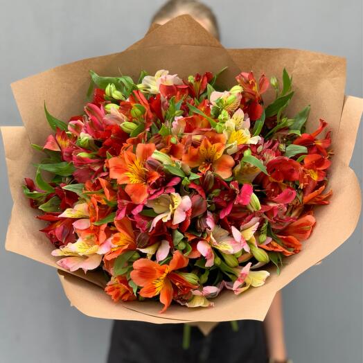 Bouquet Mix of Alstroemeria