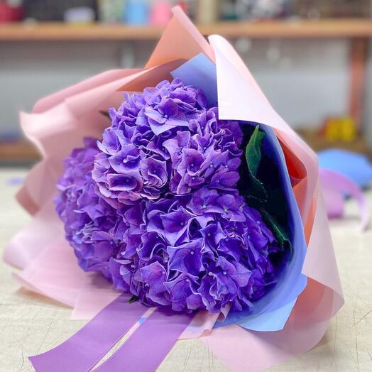 Hydrangeas