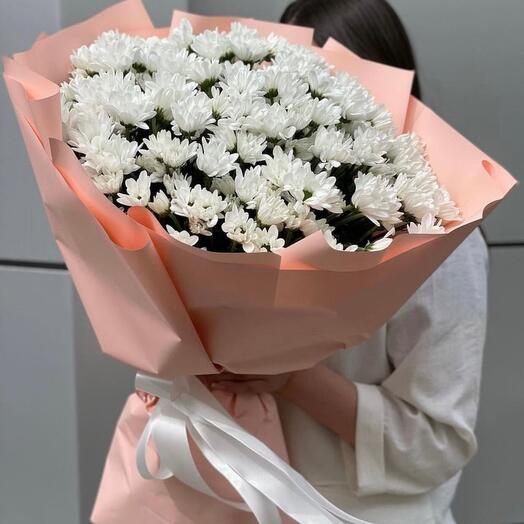 Хризантема куст (M)