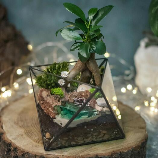 Octahedron S with ficus Ginseng and pond - 236
