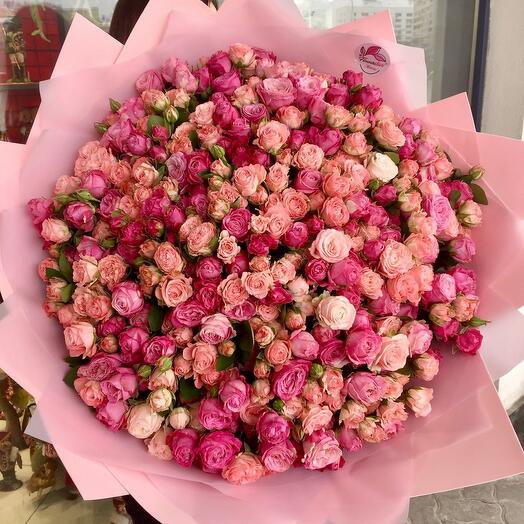 Peony - shaped Bush Rose