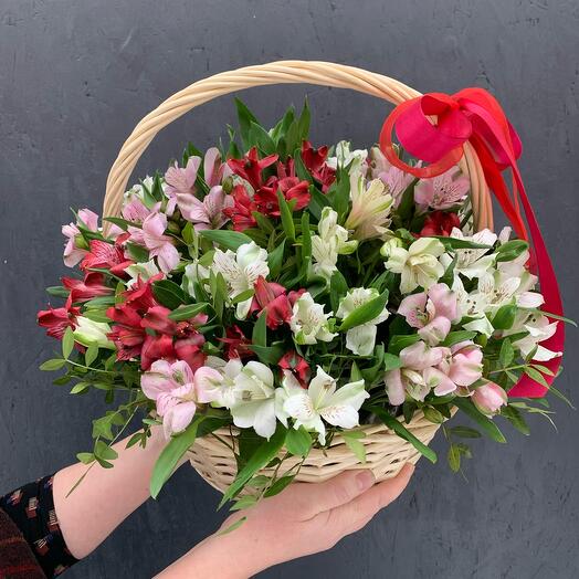 Cesta de alstroemeria "Calypso»