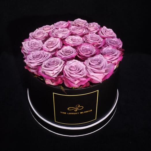 Purple Rose Box Large