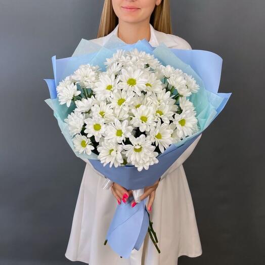 Mono of 7 chrysanthemums