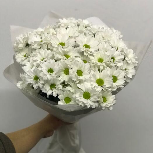 Ромашки для любимых