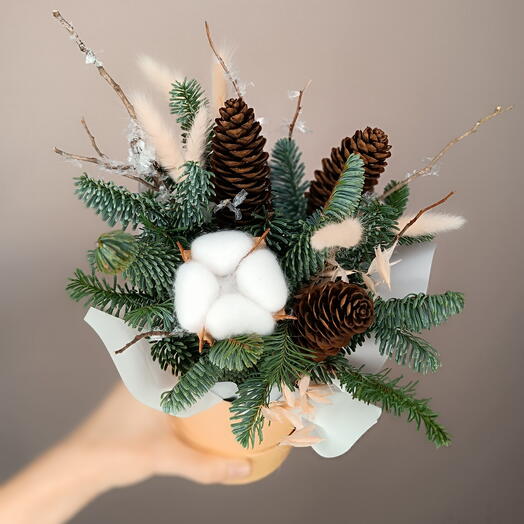 Голубая ель в коробке