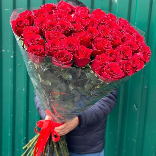 25 alta rosa 150cm