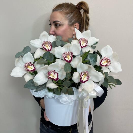 Orquídea blanca con eucalipto en Caja🤍