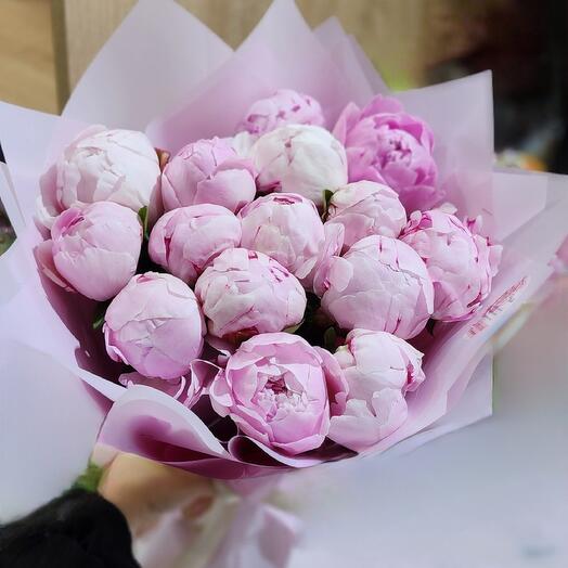 Розовые пионы 15шт