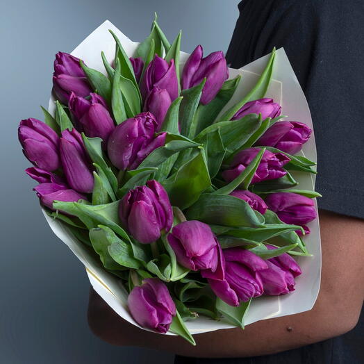 19 Purple Tulip