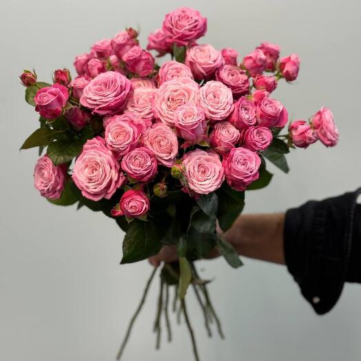 Bush Rose Lady bombastic