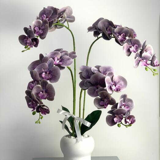 Phalaenopsis in Vase (ARTIFICIAL)