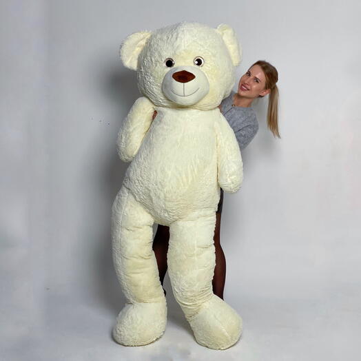 Teddy Bear, 200cm