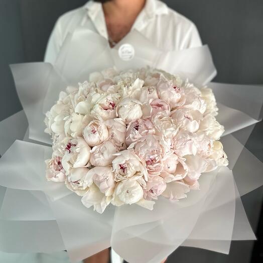 Bouquet of 51 peonies white