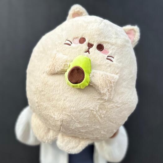 Котик с авокадо