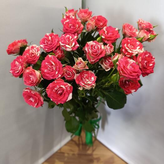 Bouquet of red and white bush roses 7 pcs. Holland, bouquet of red and white bush roses, Fireworks varieties
