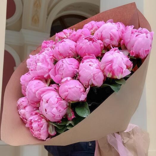 Голландские пионы