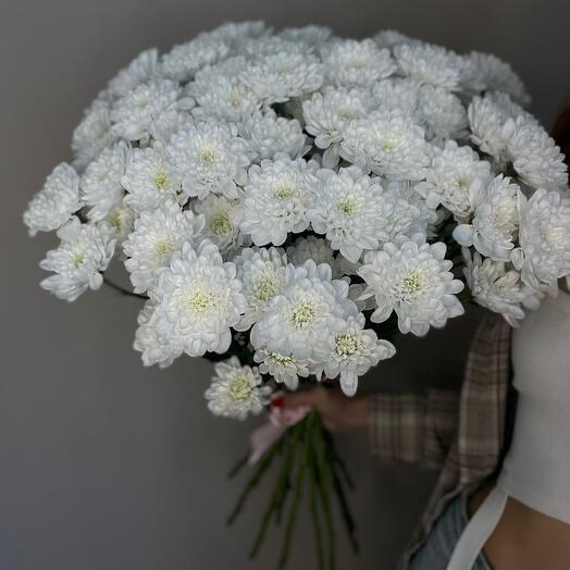 Хризантема белая 17 шт
