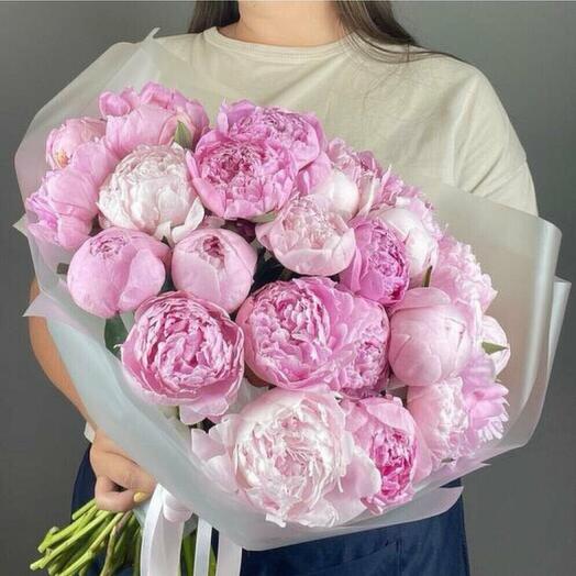 Пиономания🩷25 шт