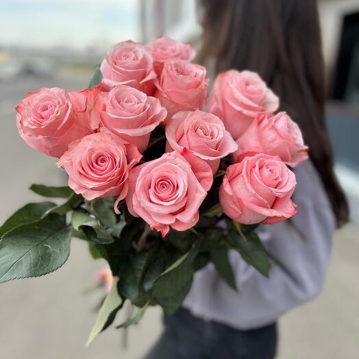 Rosa Ecuador 11pcs