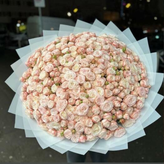 101 КУСТОВАЯ ПИОНАВИДНАЯ РОЗА