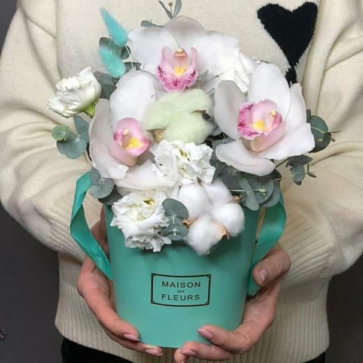 Menta floral