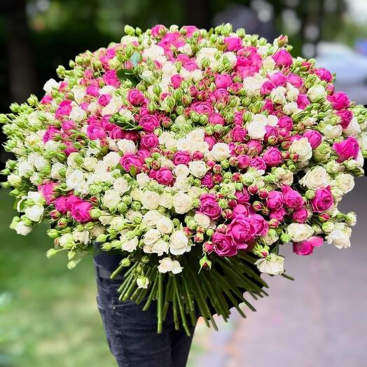 101 branches of peony-shaped roses