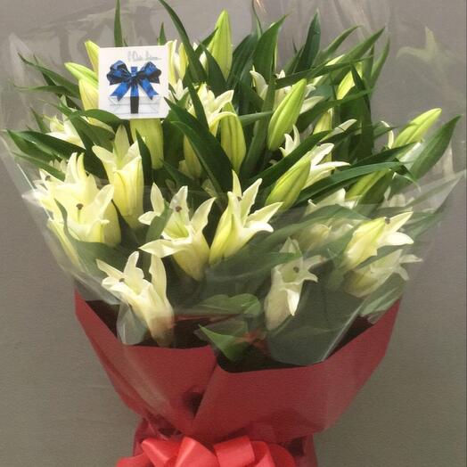 Lily 9