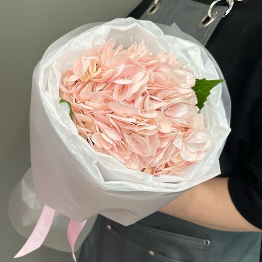 Pink hydrangea in the design