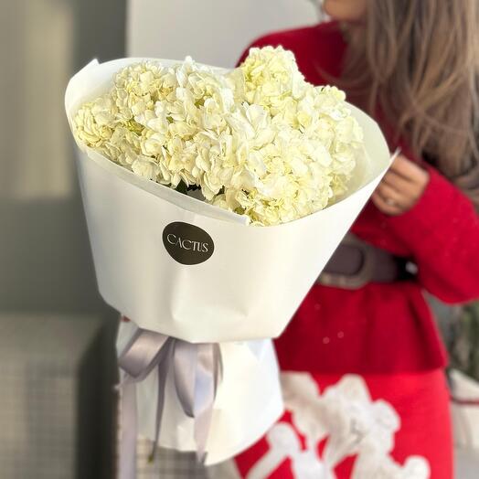 Моно букет из гортензии WHITE