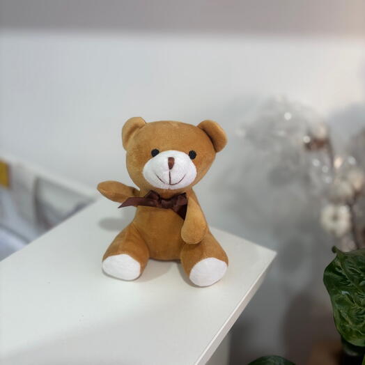 Mini Oso de peluche