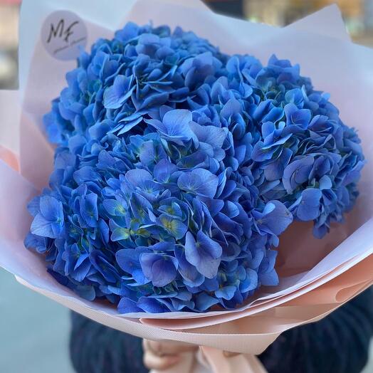 Облако гортензий