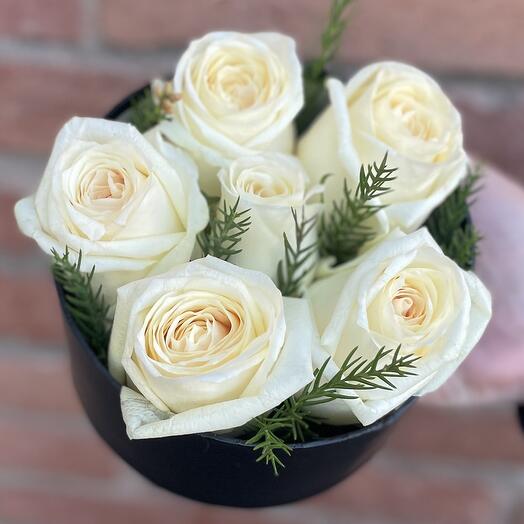 White roses in box 7