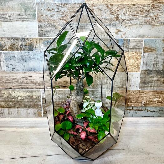 Florarium con ficus Ginseng y figura de gato en posición de loto