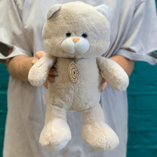 Мягкая игрушка котик 25 см