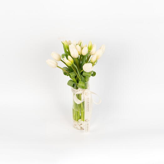 Graceful Tulip Vase