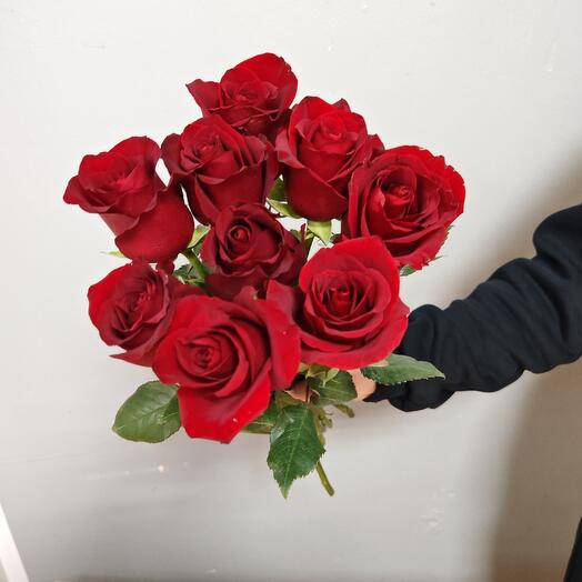 Роза красная