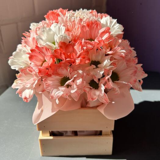 Ромашка в ящике