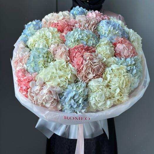 Моно букет из 25 гортензий