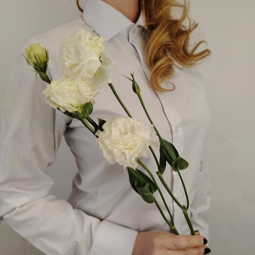 White eustoma