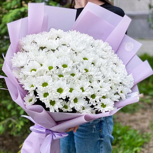 15 кустовых ромашковых хризантем