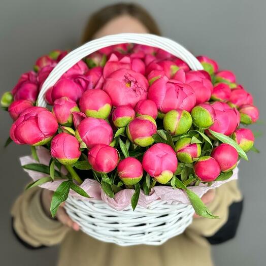 51 коралловый пион в корзине