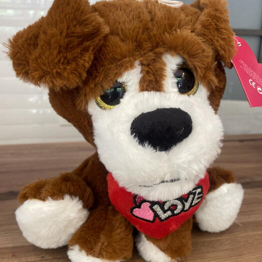 Peluche perrito corazon