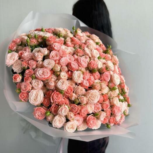 Кустовые розы Бомбастик