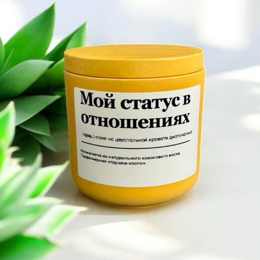 Аромасвеча ручной работы «Мой статус в отношениях»