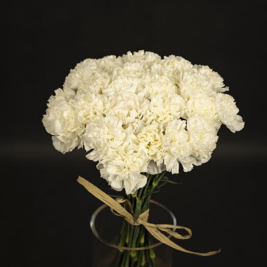 25 White carnation