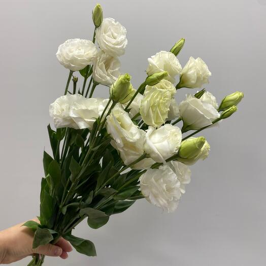 Букет из 5 белых эустом